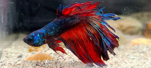 20210106_144422.jpg 20210106_144422.jpg