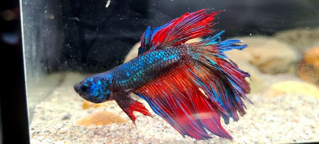 20210106_144404.jpg 20210106_144404.jpg