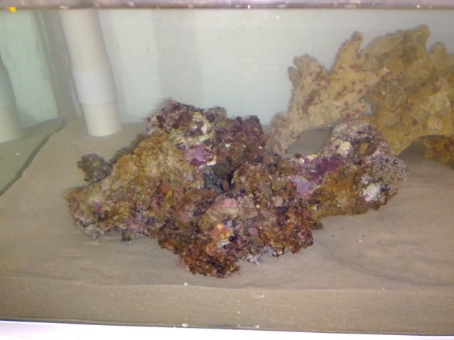 IMG_20201206_132556.jpg
