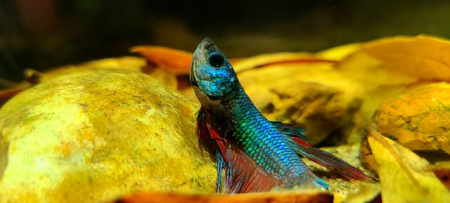 20210118_131129.jpg 20210118_131129.jpg