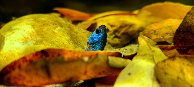 20210118_130943.jpg 20210118_130943.jpg