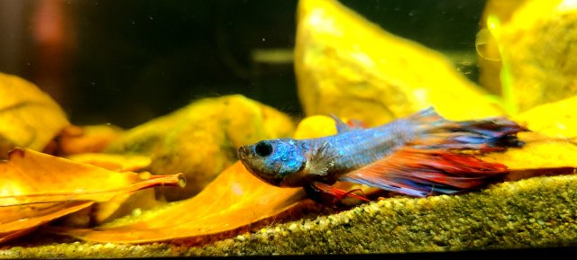 20210116_213708.jpg 20210116_213708.jpg