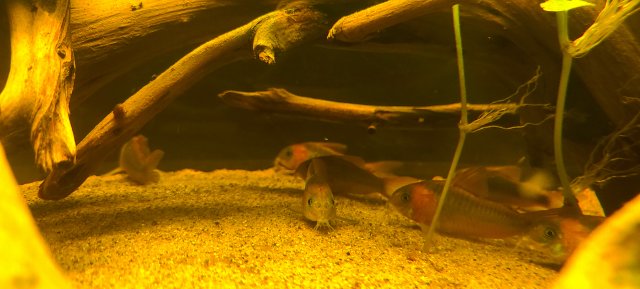 20210126_212001.jpg