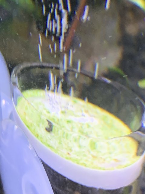 04D51CCF-3EDA-46A2-9A9B-F288F7E9F3D1.jpeg