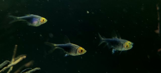 20210217_121711.jpg