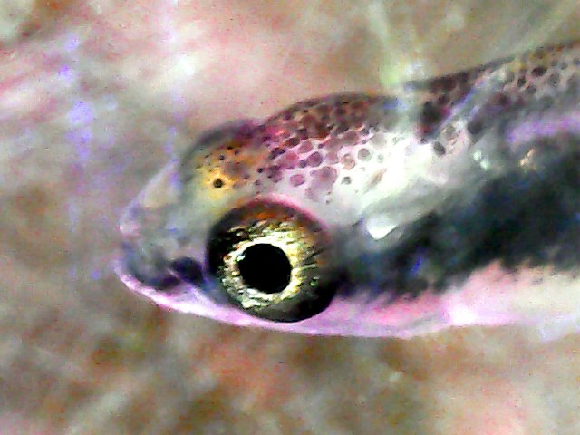 21-02-17 17_32_096f.jpg