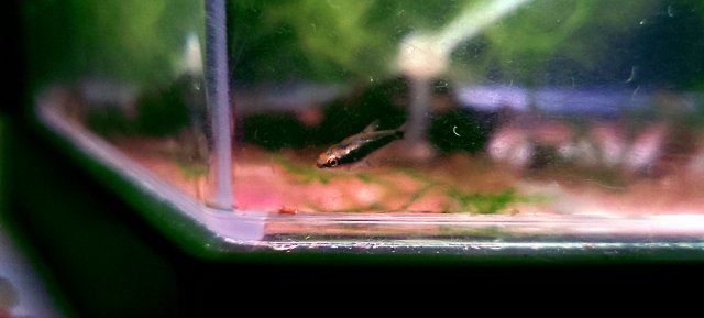 20210226_001719.jpg