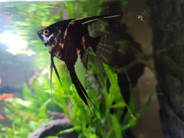 20210303_185954.jpg