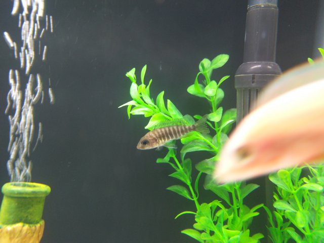 sunken stomach.jpg
