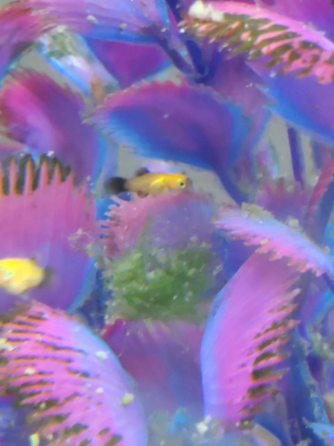 20210326_172253.jpg