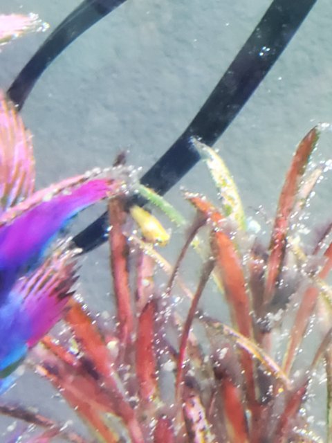 20210326_172247.jpg