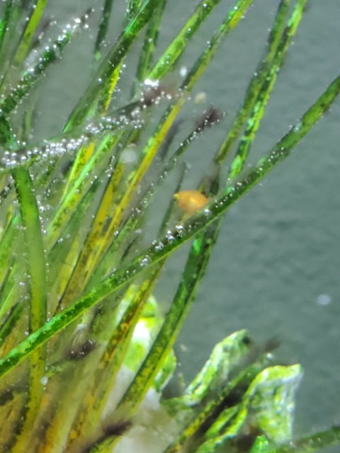 20210326_172240.jpg
