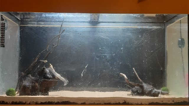 20210406_214313.jpg