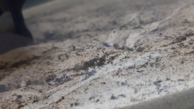 20210407_160849.jpg