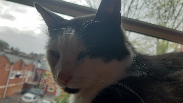20210407_204546.jpg