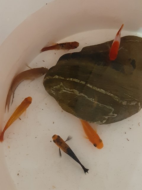 20210410_220842.jpg