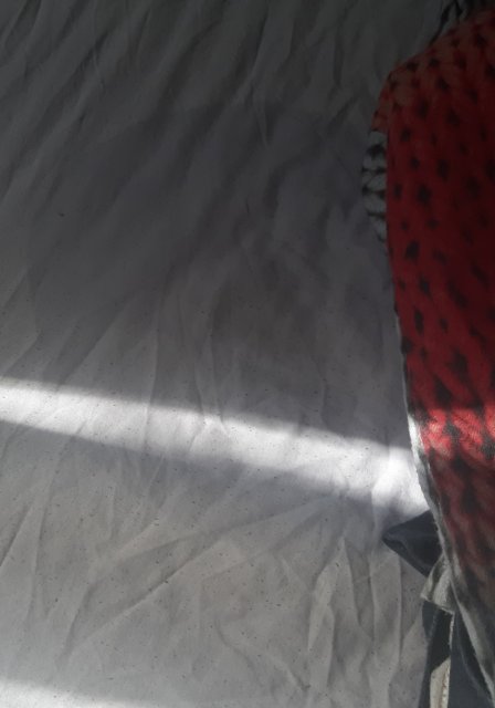 20210412_212743.jpg