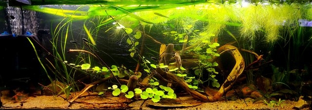 20210419_154234.jpg