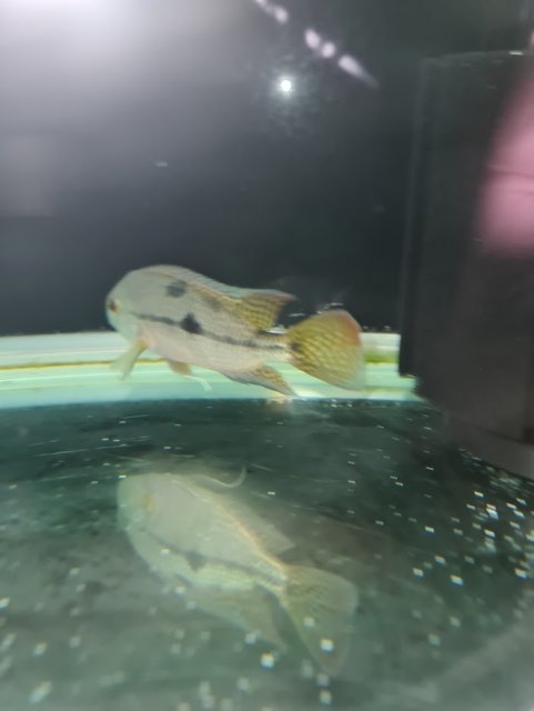 20210417_155932.jpg