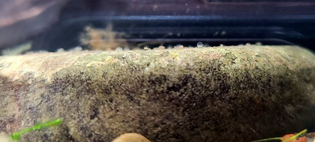 20210425_090133.jpg