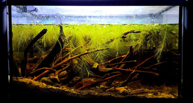 20210505_204701.jpg