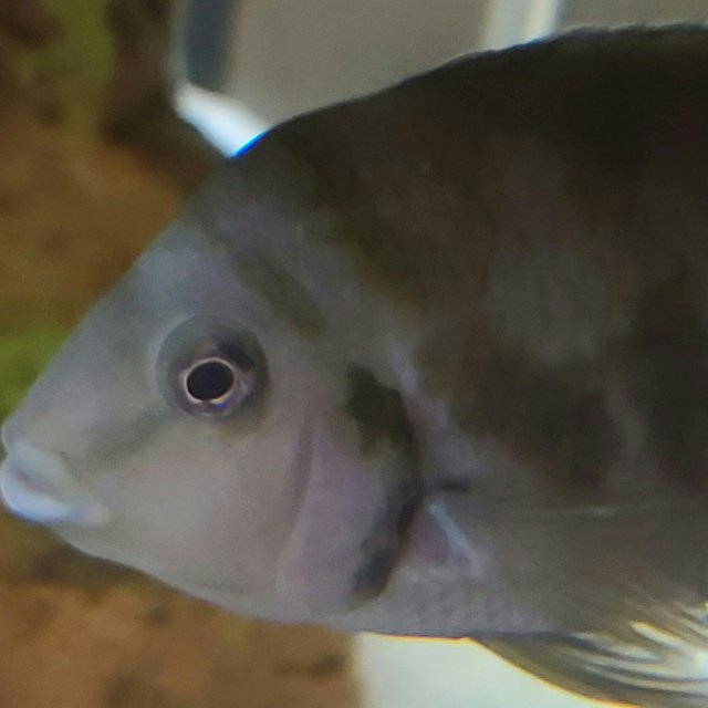 2021-05-18_13.43.58.jpg