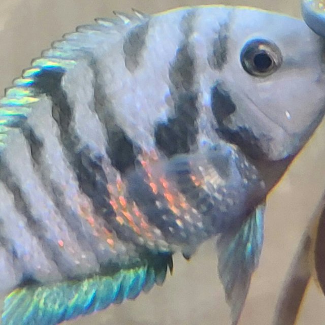 2021-05-18_13.42.34.jpg