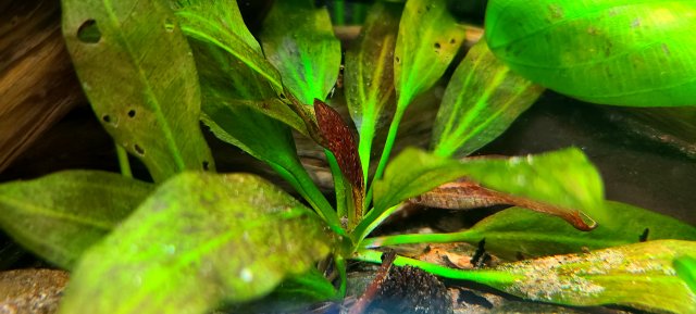 20210518_213552.jpg