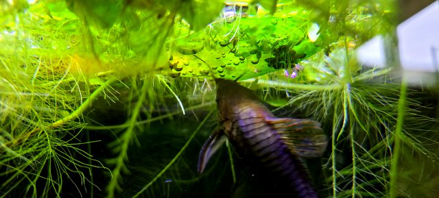20210524_111450.jpg