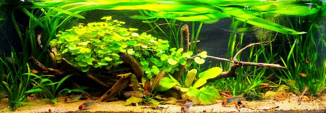 20210615_221746.jpg