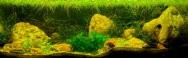 20210612_211319.jpg
