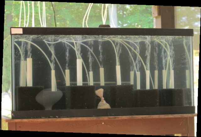 biofarmtank.jpg