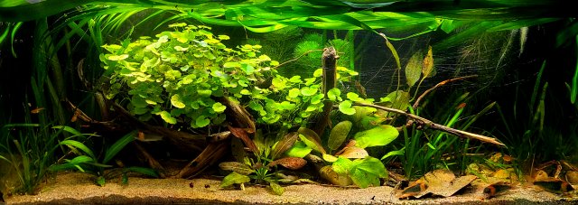 20210627_204330.jpg