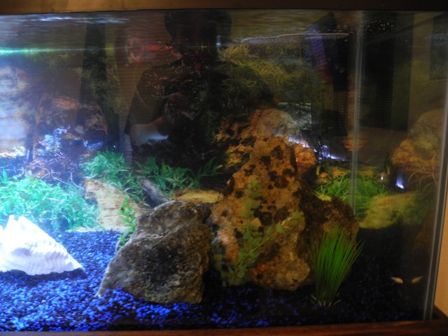 DSCN7378.JPG