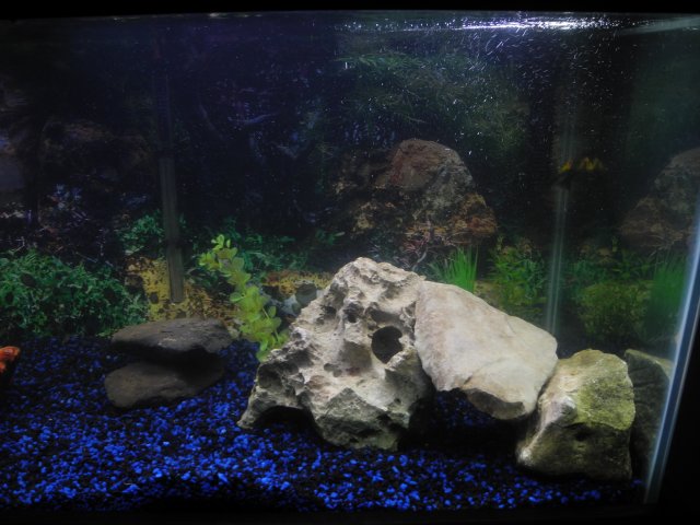 DSCN7386.JPG