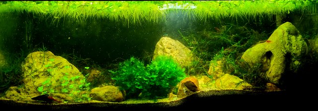 20210703_222946.jpg