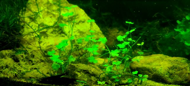 20210704_001003.jpg