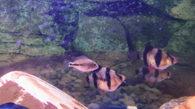 IMG_20210711_194213.jpg
