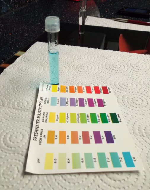 Nitrite 0ppm.jpg