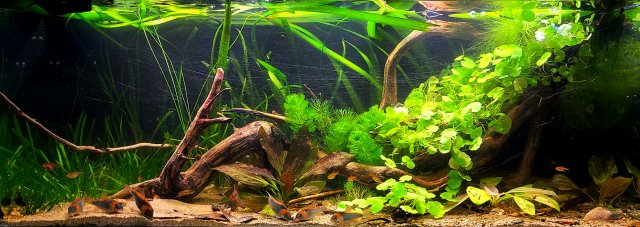 20210802_190849.jpg