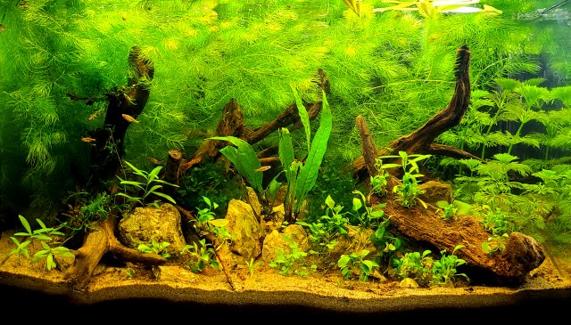 20210717_215829.jpg