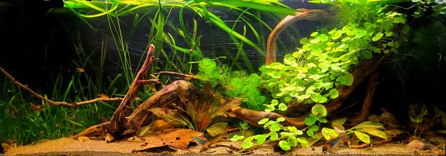 20210804_192842.jpg