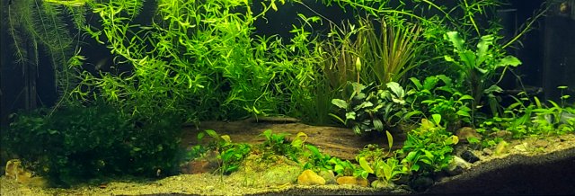 20210817_133240.jpg