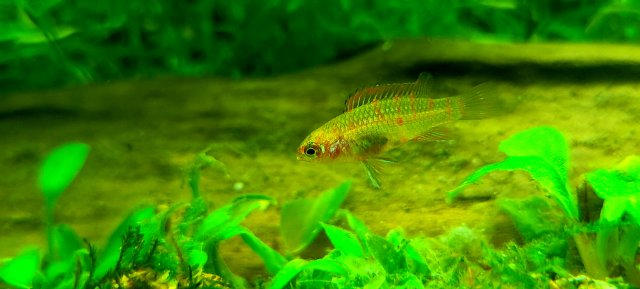 20210818_222834.jpg