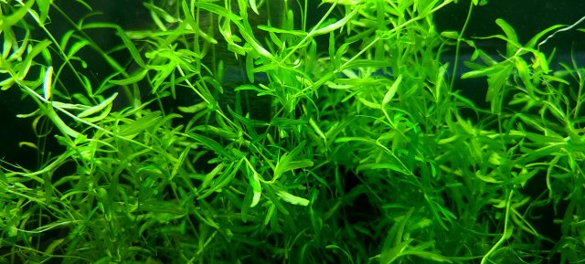 20210817_134204.jpg