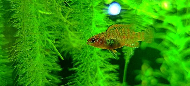 20210820_213423.jpg