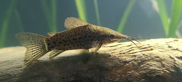 20210909_165300.jpg