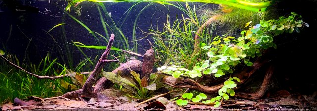 20210914_212903.jpg