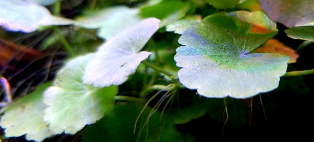 20210914_213239.jpg