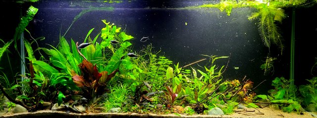 20210916_201630.jpg